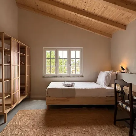 1515 - Design Near The Sea *
